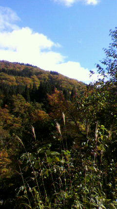 2010110312060000.jpg