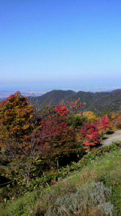 2010110711510000.jpg