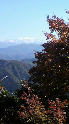 2010110711530000.jpg