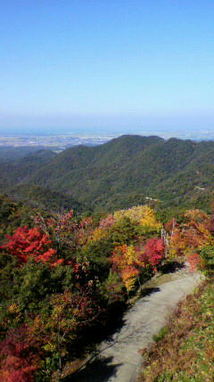 2010110711590000.jpg