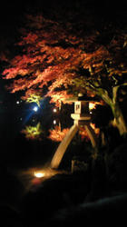 201011201835000.jpg