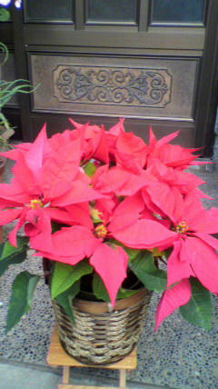 2010122111280000.jpg