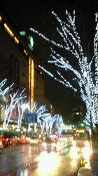 NEC_0100.jpg