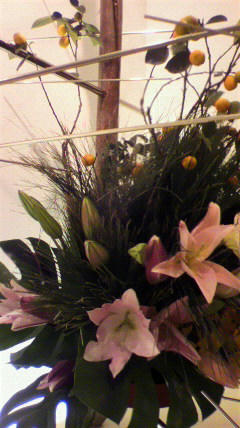 2011012013280000.jpg