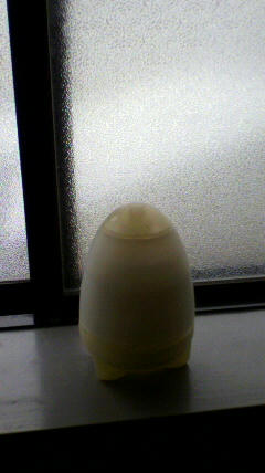 2011012913080000.jpg