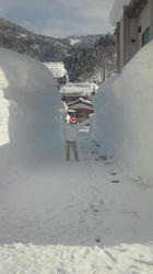 201102021336002.jpg