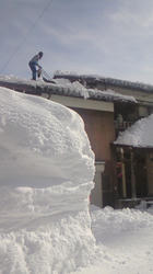 201102021336001.jpg