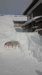 201102021333000.jpg