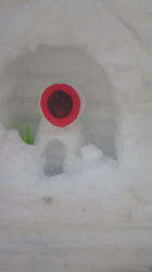 201102021336000.jpg