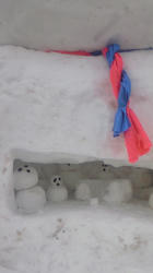 201102021324000.jpg