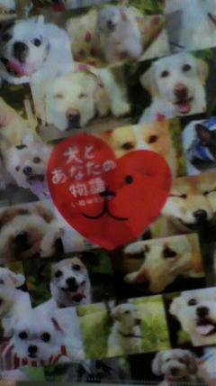 2011020710530000.jpg