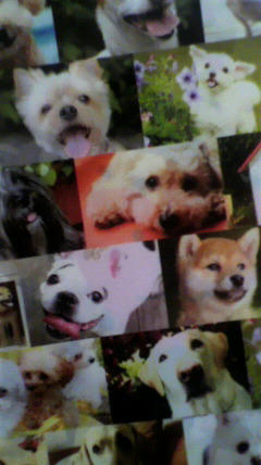 2011020710540000.jpg