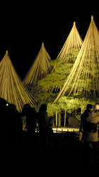 201102111913000.jpg