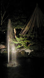 201102111906000.jpg