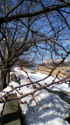 2011022112200000.jpg