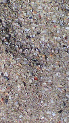 2011022314150000.jpg