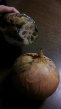 2011030712380000.jpg