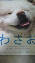 201103181821000.jpg