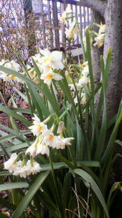 2011032008270000.jpg