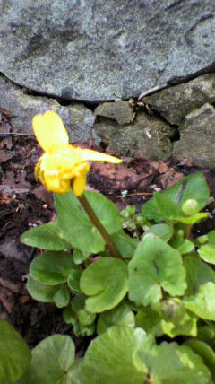 2011032211040000.jpg