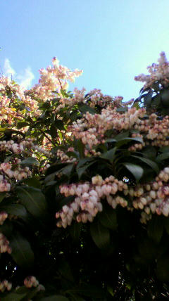 2011032314500000.jpg