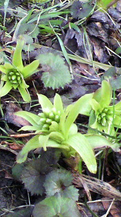 2011032507350000.jpg