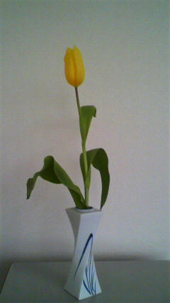 2011033107580000.jpg