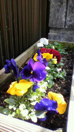 2011033114230000.jpg