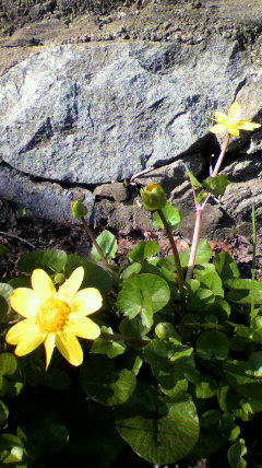 2011040408370001.jpg