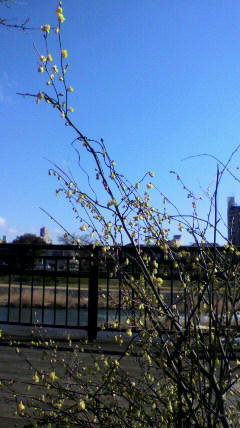 2011040408350000.jpg