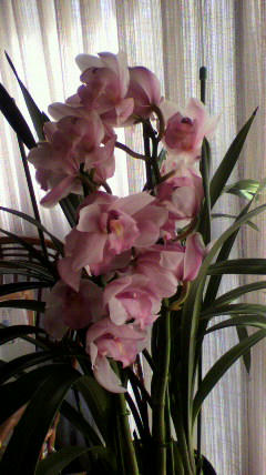 2011040414500000.jpg