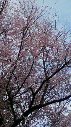 2011040716000000.jpg