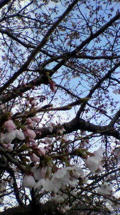 2011040715320000.jpg