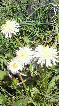 2011041010430000.jpg