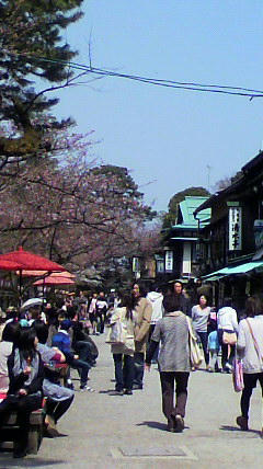 2011041012390000.jpg