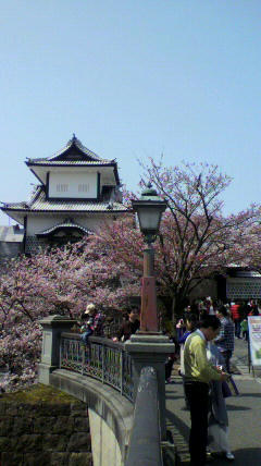 2011041012500000.jpg