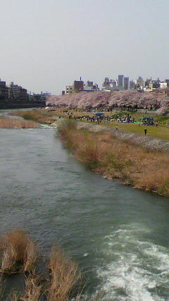 2011041014280000.jpg