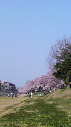 2011041011000000.jpg