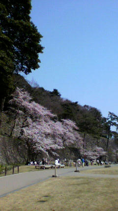 2011041013520001.jpg