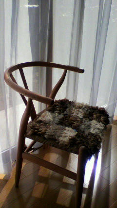 2011041214420000.jpg
