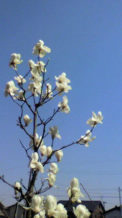 2011041212470000.jpg