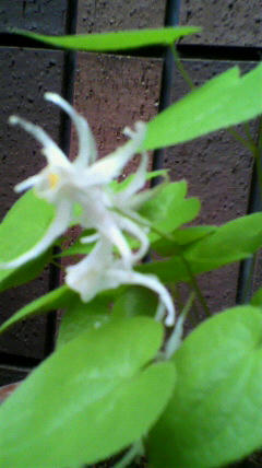 2011042215560000.jpg