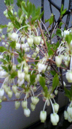 2011042215540000.jpg