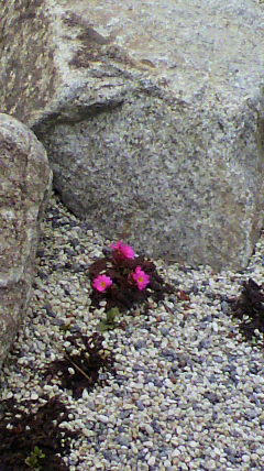 2011050314230000.jpg