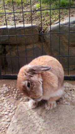 2011050215310001.jpg