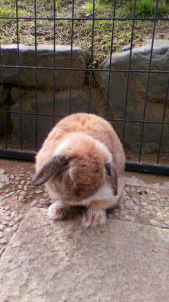 2011050215310000.jpg