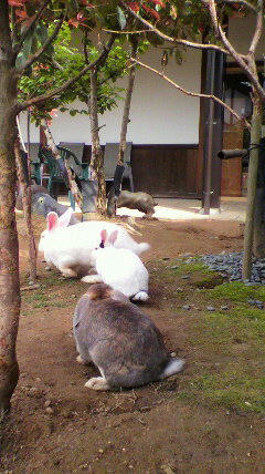 2011050215010000.jpg