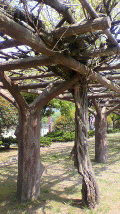 2011050813260001.jpg