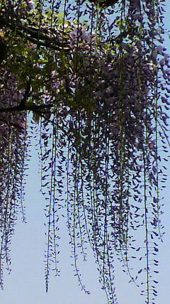2011050813220000.jpg
