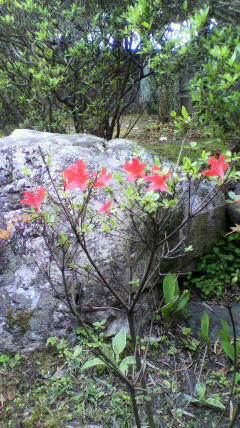 2011050615040000.jpg